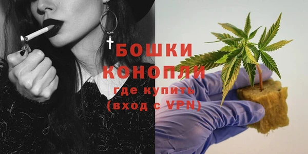 дмт Осташков