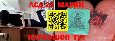 a pvp Гатчина