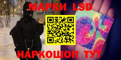 крисы Гагарин