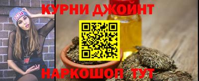 крисы Гагарин