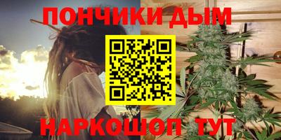 a pvp Гатчина