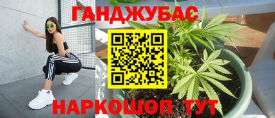 крисы Гагарин
