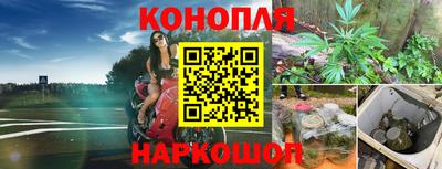 крисы Гагарин