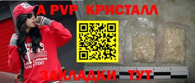 крисы Гагарин