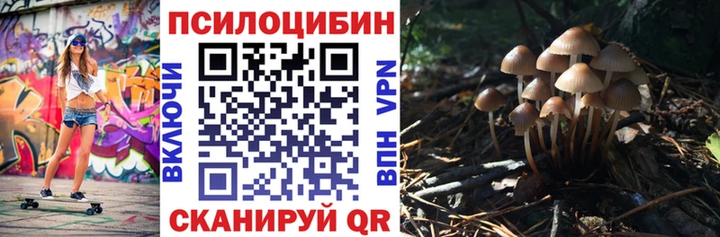 Псилоцибиновые грибы Psilocybine cubensis  Знаменск 