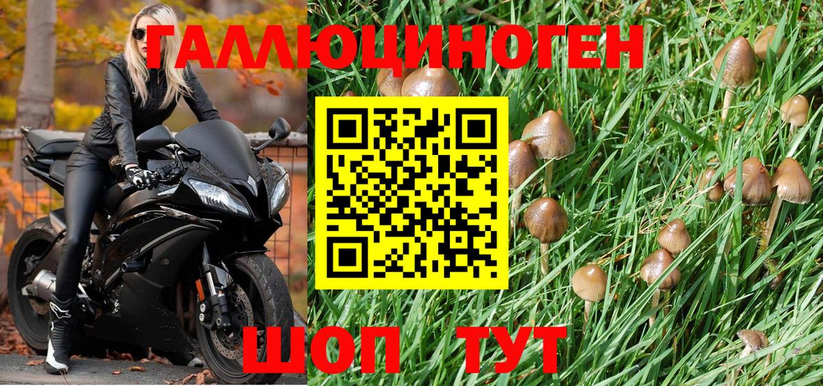 Псилоцибиновые грибы мицелий Знаменск