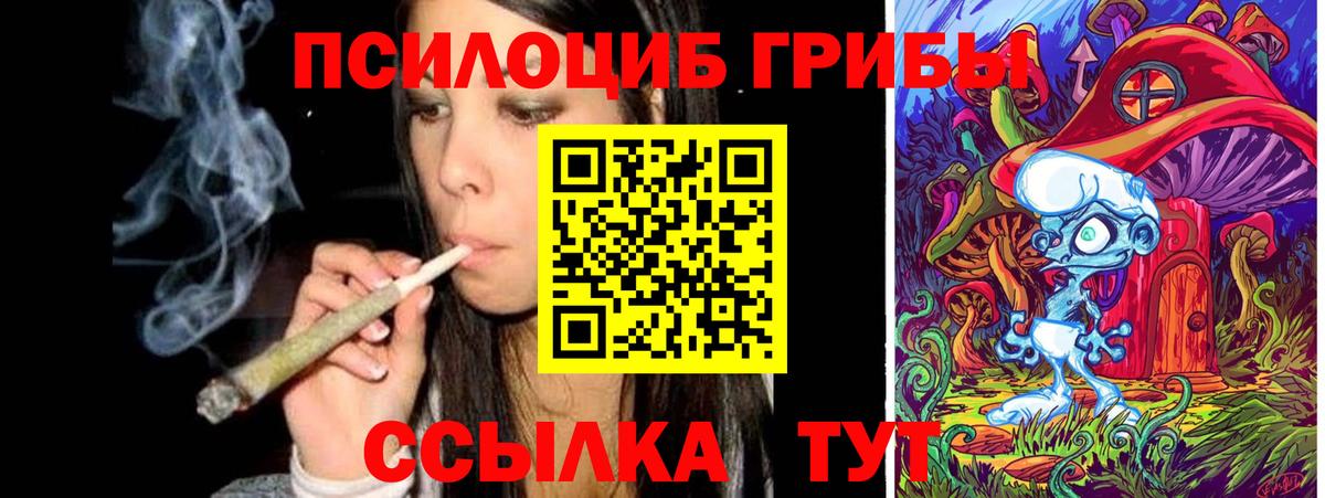Галлюциногенные грибы Cubensis  Псилоцибиновые грибы GOLDEN TEACHER  Знаменск  Вход с VPN 